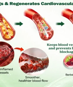 NATRAVOR® 𝑴𝒆𝒕𝒂𝒃𝒐𝒍𝒊𝒄 𝑵𝒂𝒏𝒐 𝑴𝒊𝒄𝒓𝒐𝒏𝒆𝒆𝒅𝒍𝒆 𝑷𝒂𝒕𝒄𝒉