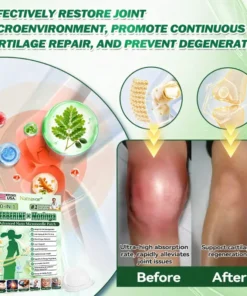 Natravor® 10-in-1 Berberine x Moringa Advanced Nano Microneedle Patch