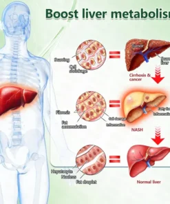 Natravor® 10-in-1 Berberine x Moringa Advanced Nano Microneedle Patch