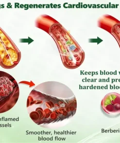 Natravor® 10-in-1 Berberine x Moringa Advanced Nano Microneedle Patch