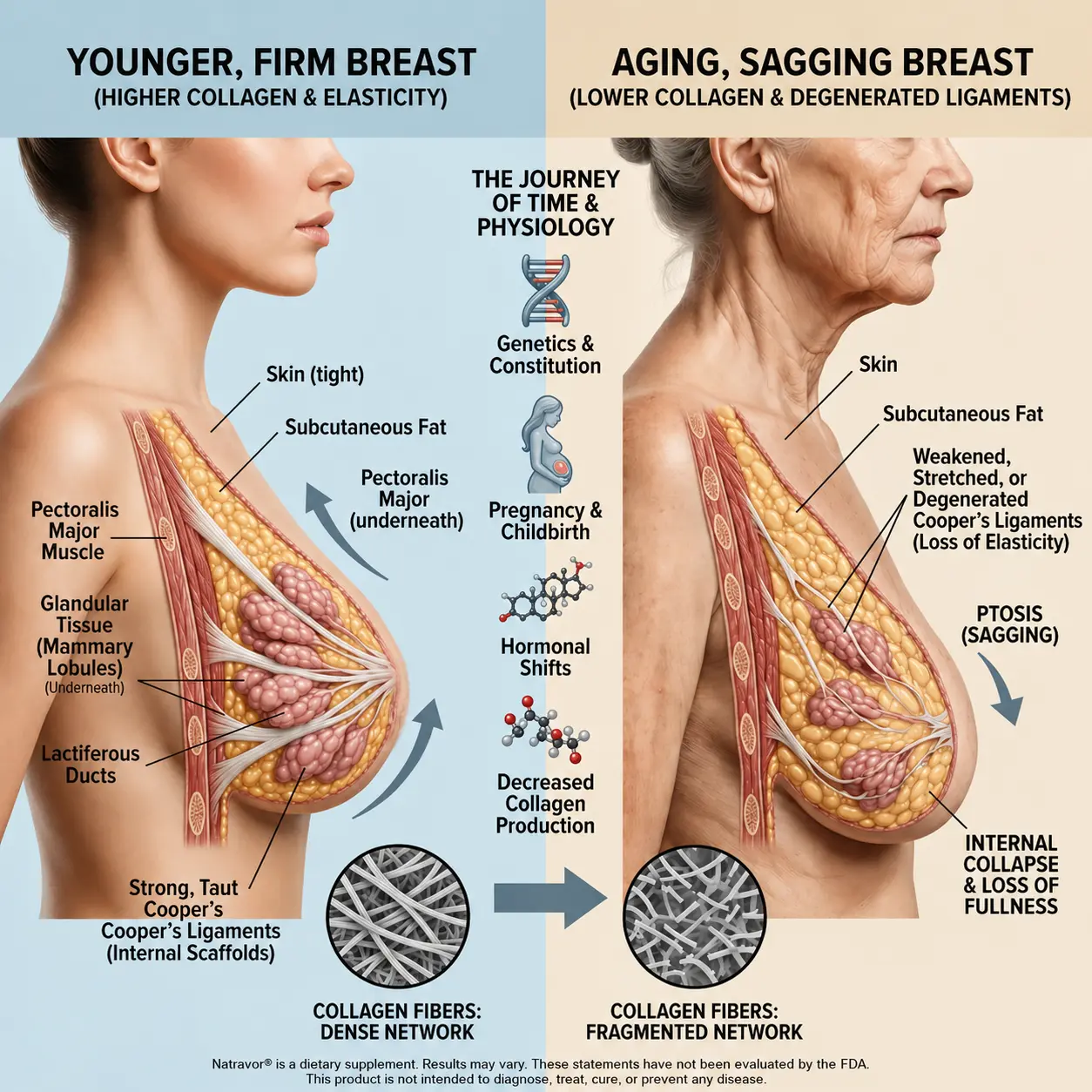 Natravor Targeted Breast Enhancement Advanced Nano-Microneedle Patches